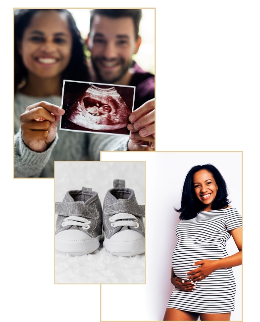 DC Metro Maternity is a doula agency providing labor doulas, postpartum doulas, childbirth education and placenta encapsulation in DC, Silver Spring, Takoma Park, Waldorf, Brandywine, District Heights, Clinton, Alexandria and Upper Marlboro and surrounding areas